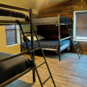 North Texas Guided Duck Hunt with meals and Lodging - Image 8