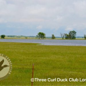 Three Curl Duck Club - Lorena Texas - Image 2