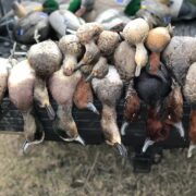 Three Curl Duck Club - Lorena Texas - Image 7
