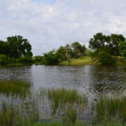 Three Curl Duck Club - Lorena Texas - Image 29