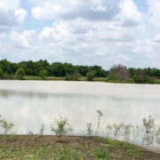 HG 103 - Duck Hunting Lease in North Texas - Image 5