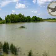 HG 103 - Duck Hunting Lease in North Texas - Image 2