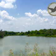 HG 103 - Duck Hunting Lease in North Texas - Image 3