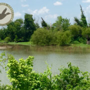 HG 103 - Duck Hunting Lease in North Texas - Image 4