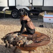 Three Curl Duck Club - Lorena Texas - Image 20