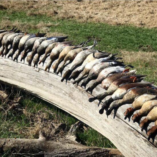 Three Curl Duck Club - Lorena Texas