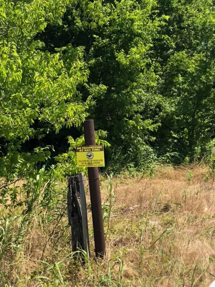 MBR 544 - Hog, predator, dove, and deer Lease near Dallas - Image 8