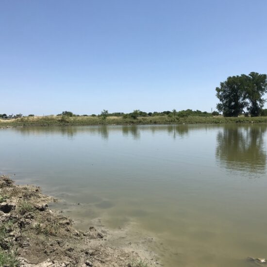 SM 268 - Dove Lease Sep 1-Oct 25th