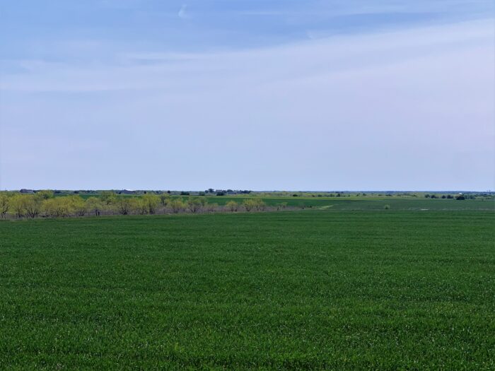 AV 155 Dove Lease Near Ennis, Texas - Image 4