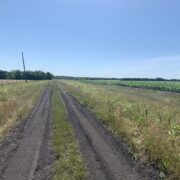LAV 350- North Zone Dove Lease near Josephine, Tx Sep 1-Jan 7th - Image 3