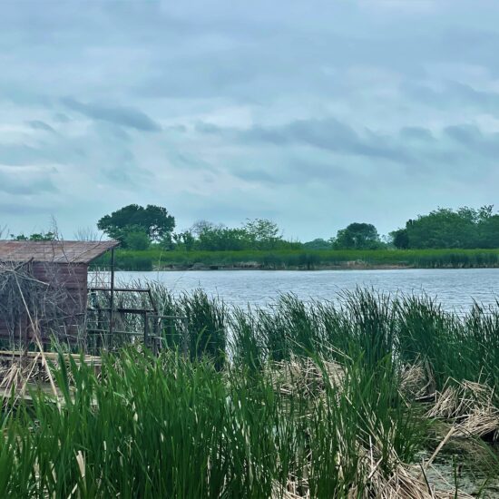 Italy 275 Duck Hunting Lease North Texas