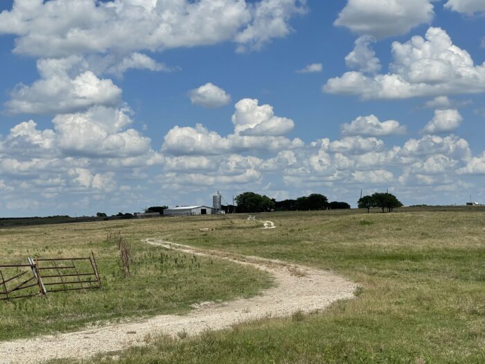 Mertens 214 Dove Hunting Lease North Texas September 1st - October 27th - Image 2