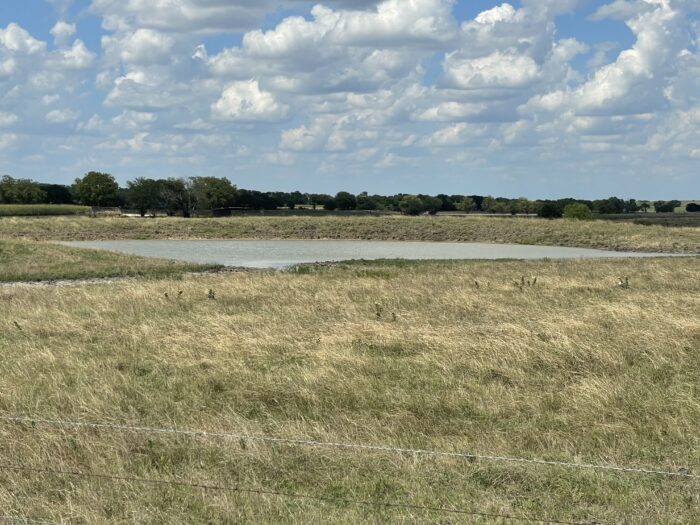 Mertens 214 Dove Hunting Lease North Texas September 1st - October 27th - Image 3
