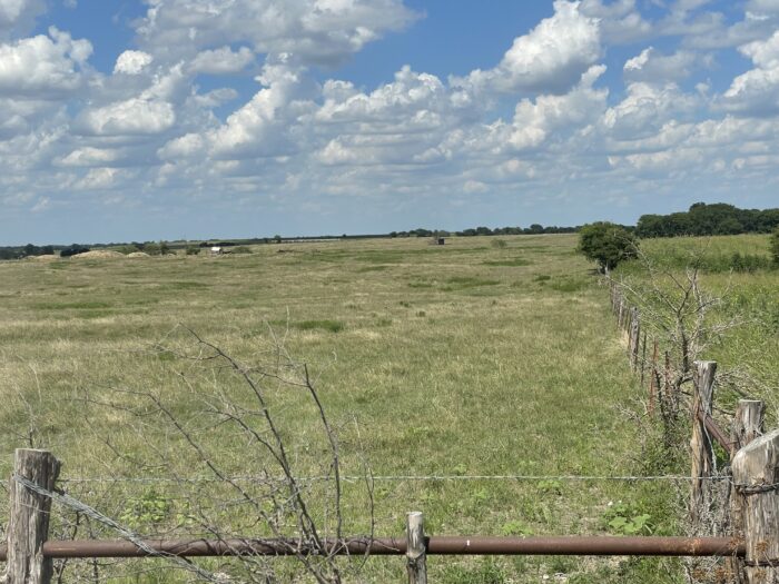 Mertens 214 Dove Hunting Lease North Texas September 1st - October 27th - Image 4