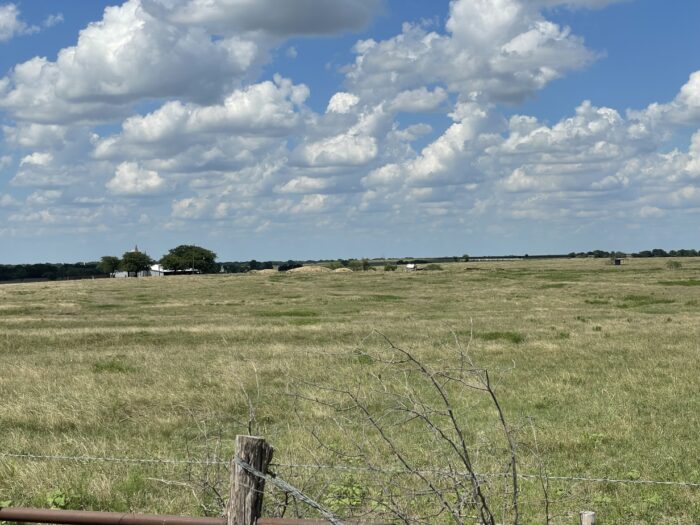 Mertens 214 Dove Hunting Lease North Texas September 1st - October 27th - Image 5