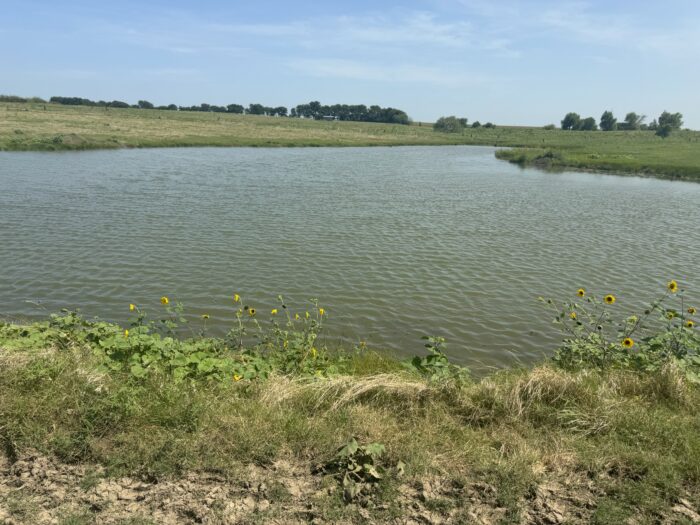 Mertens 214 Dove Hunting Lease North Texas September 1st - October 27th