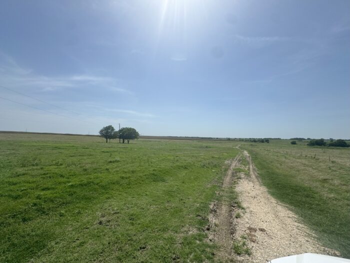 Mertens 214 Dove Hunting Lease North Texas September 1st - October 27th - Image 11