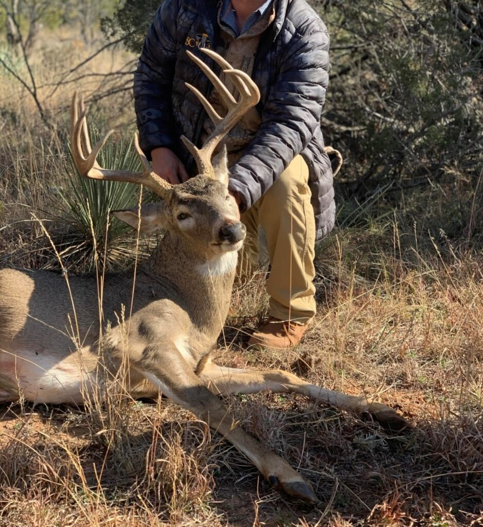 7,700 acre Corporate Deer Lease Knox County