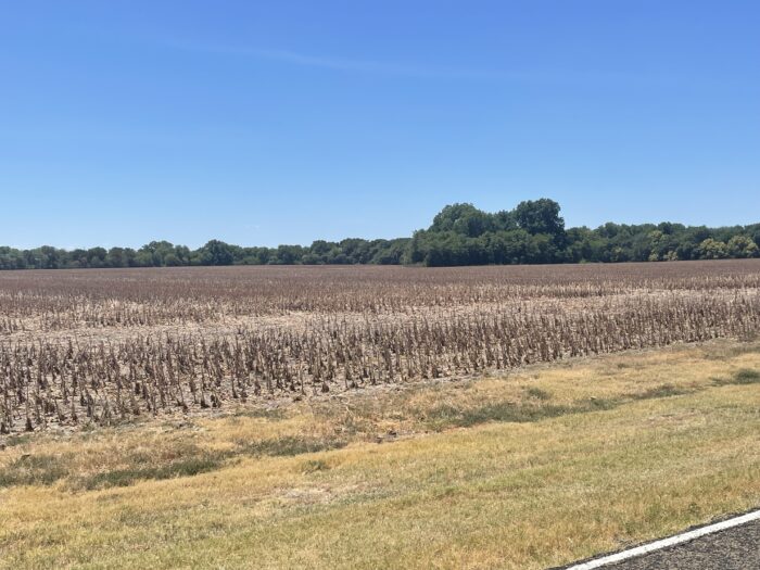 Byrd 103 North Texas Season Dove Lease