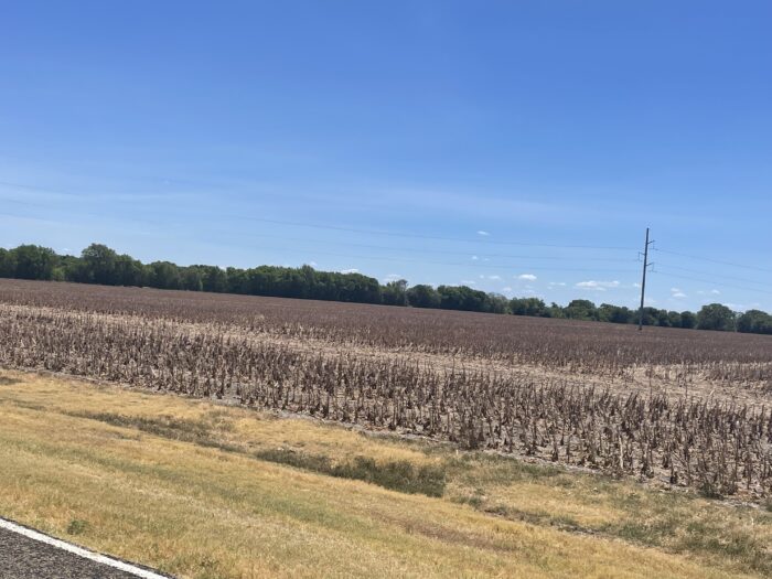 Byrd 103 North Texas Season Dove Lease - Image 2