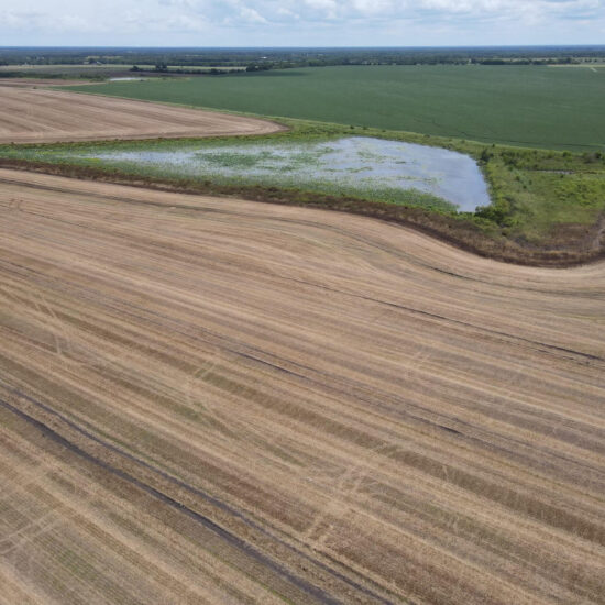 Bogota 650 Season Duck Lease