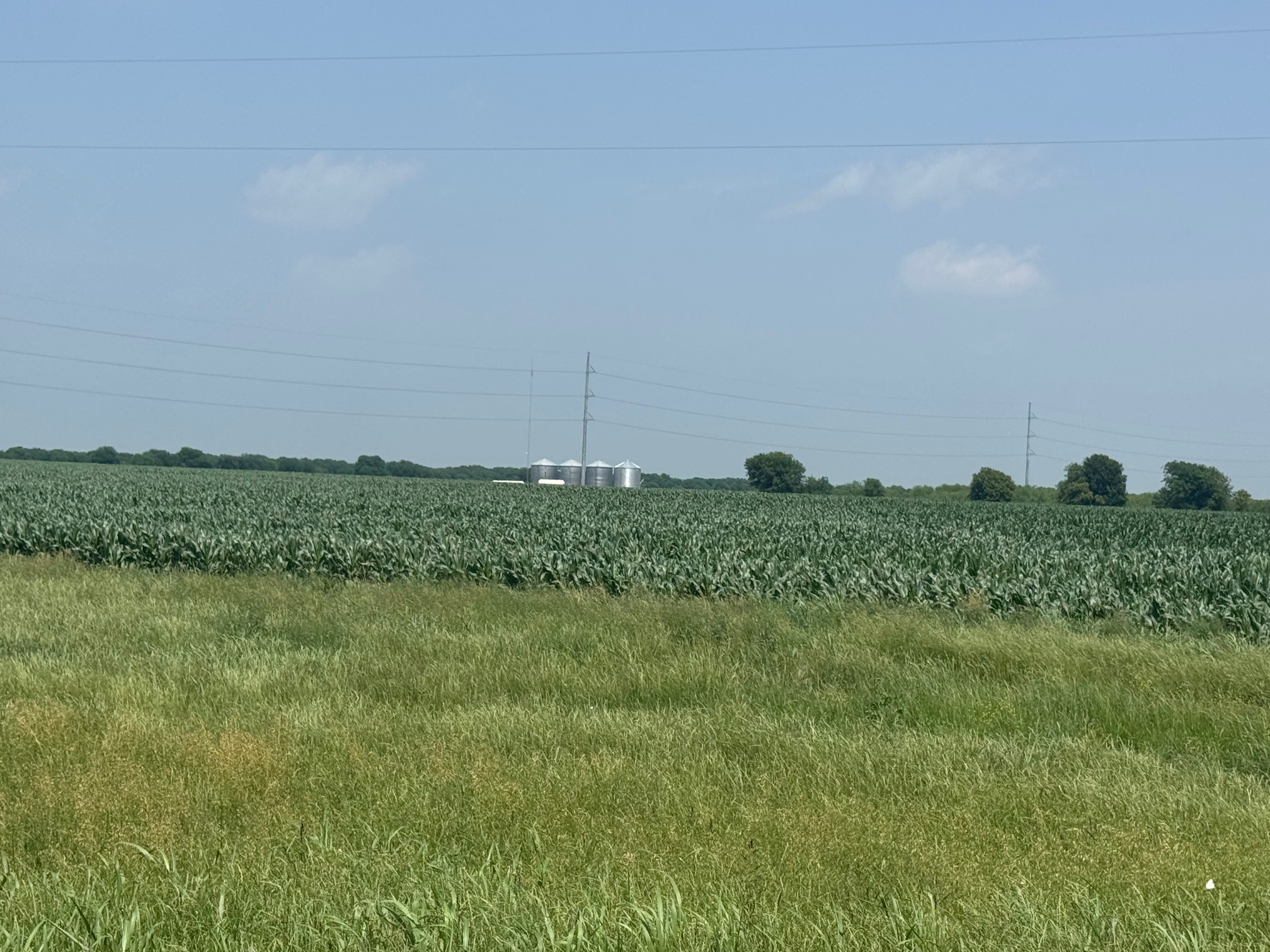 McGregor 220 Central Texas Dove Lease - Image 7