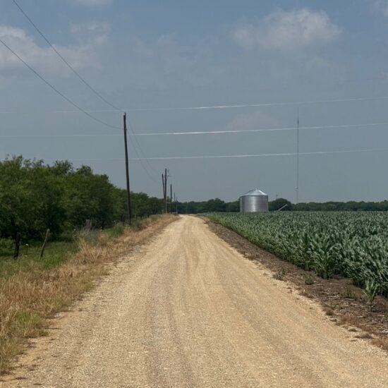 McGregor 220 Central Texas Dove Lease