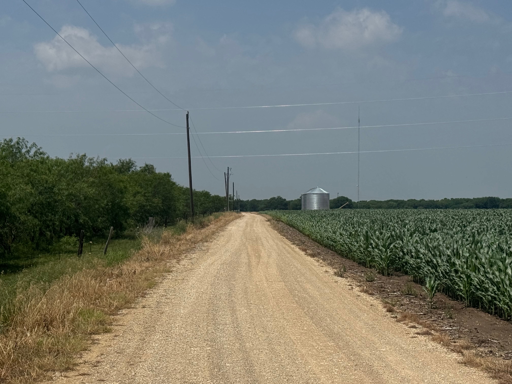 McGregor 220 Central Texas Dove Lease