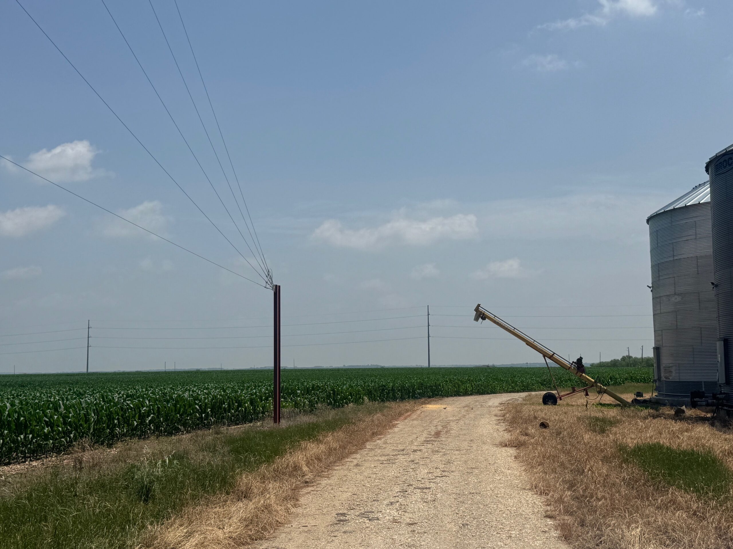 McGregor 220 Central Texas Dove Lease - Image 5