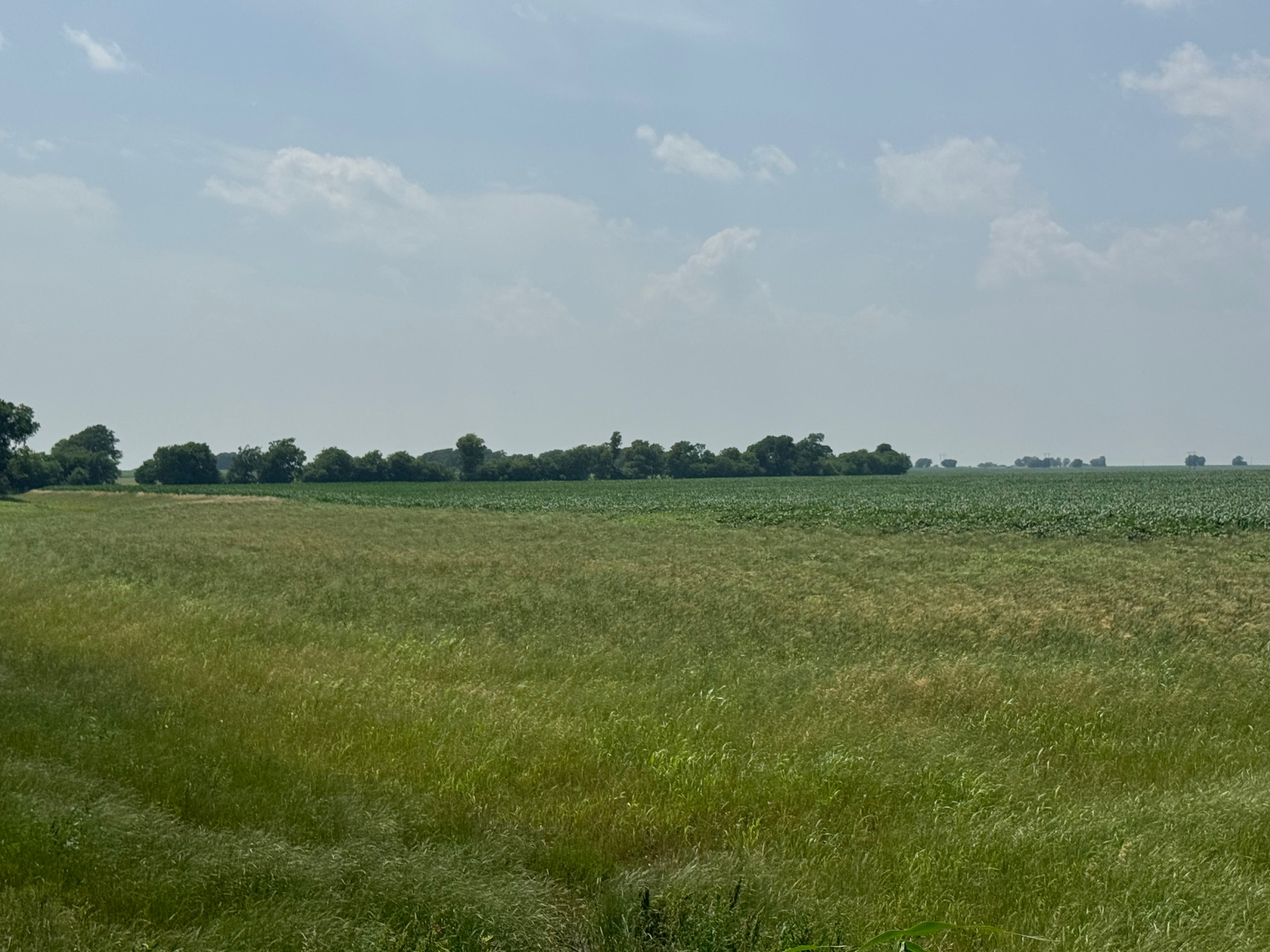 McGregor 460 Central Texas Dove Lease - Image 8