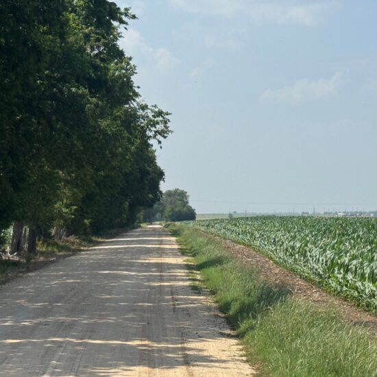 McGregor 460 Central Texas Dove Lease