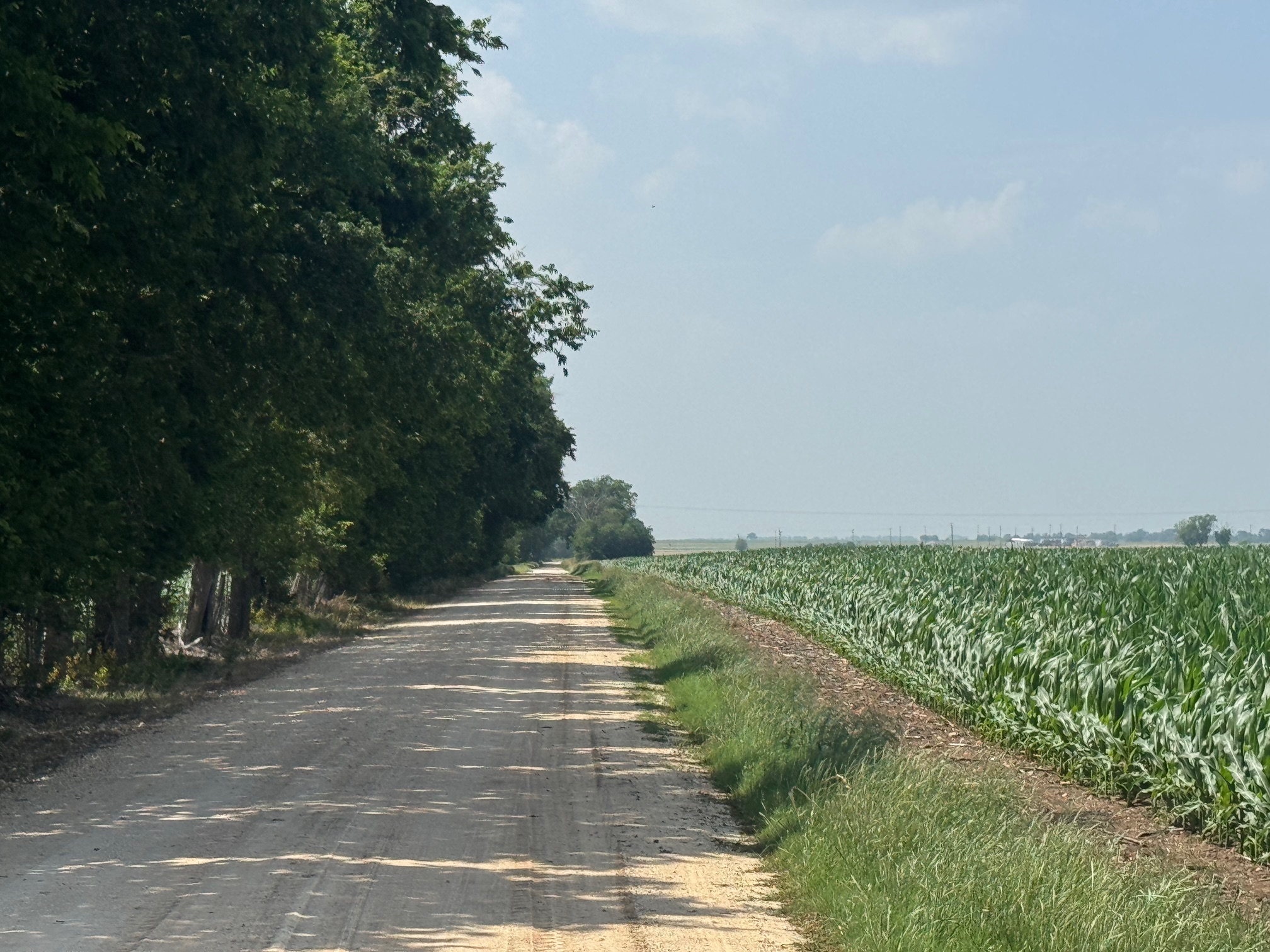 McGregor 460 Central Texas Dove Lease